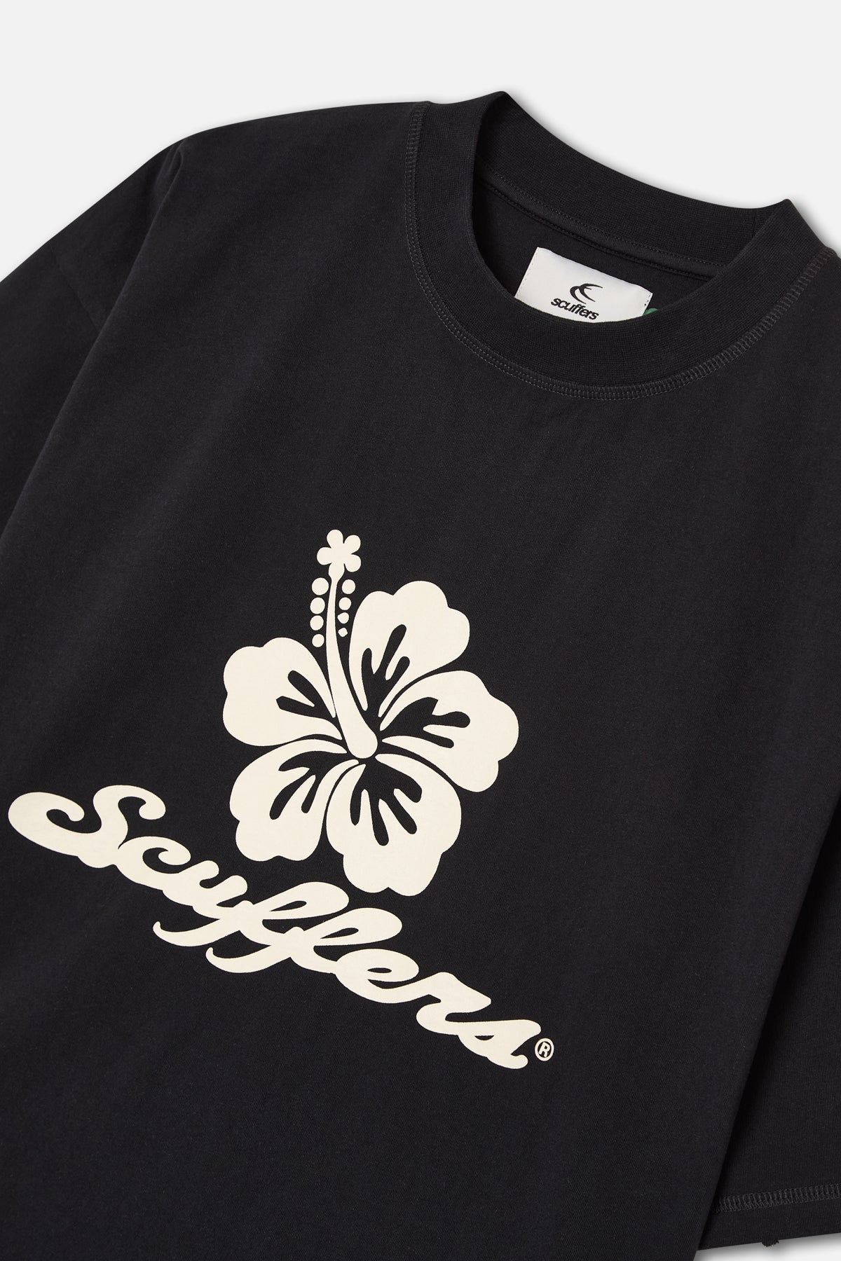 Fiji Black T-Shirt - Image 5