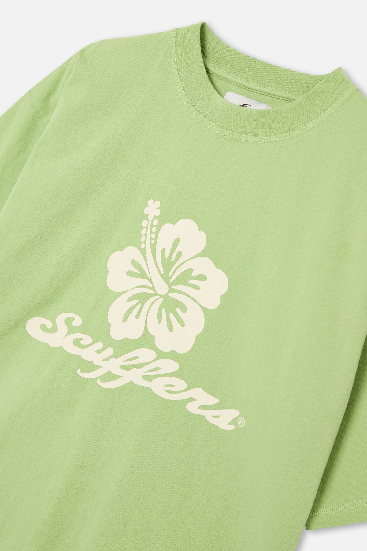 Fiji Green T-Shirt - Image 5