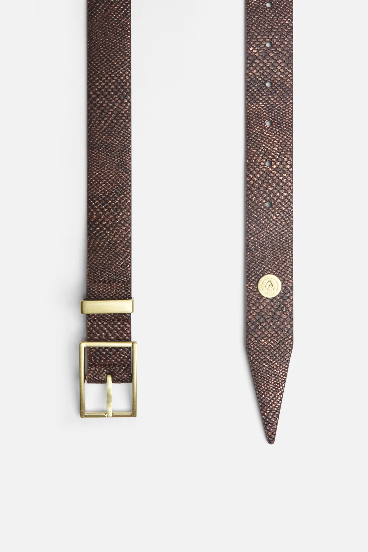 King Snake Brown Belt - Image 2