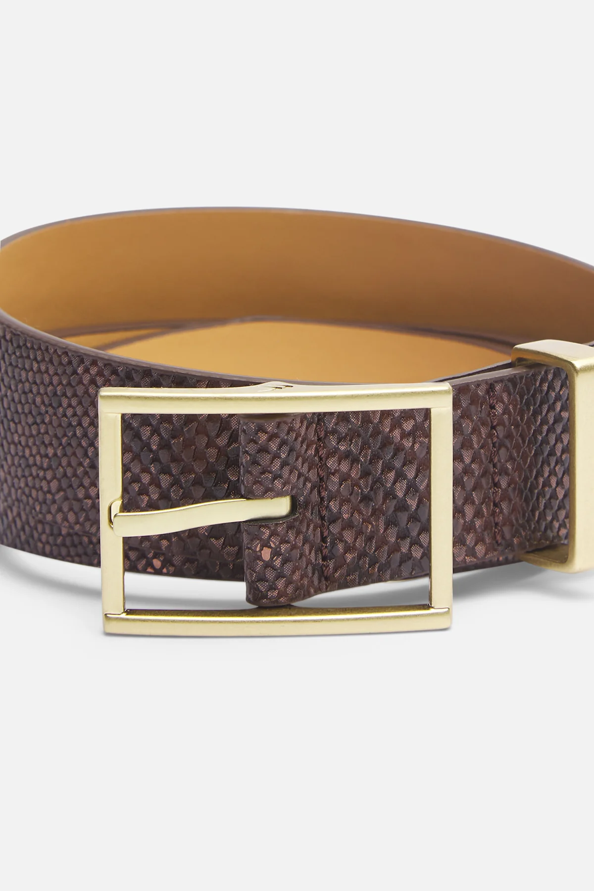 King Snake Brown Belt - Image 3