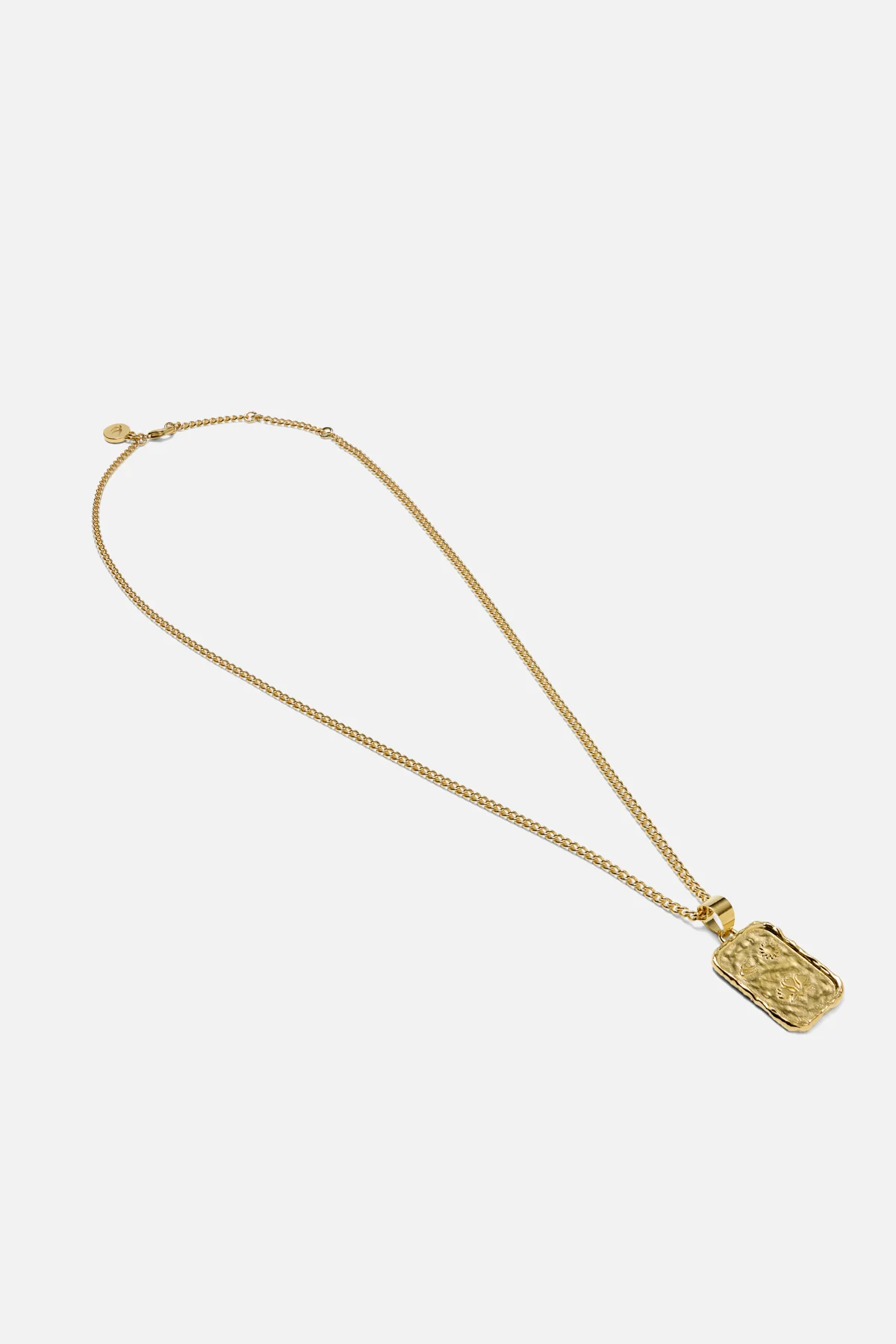 Medal AU Necklace - Image 3