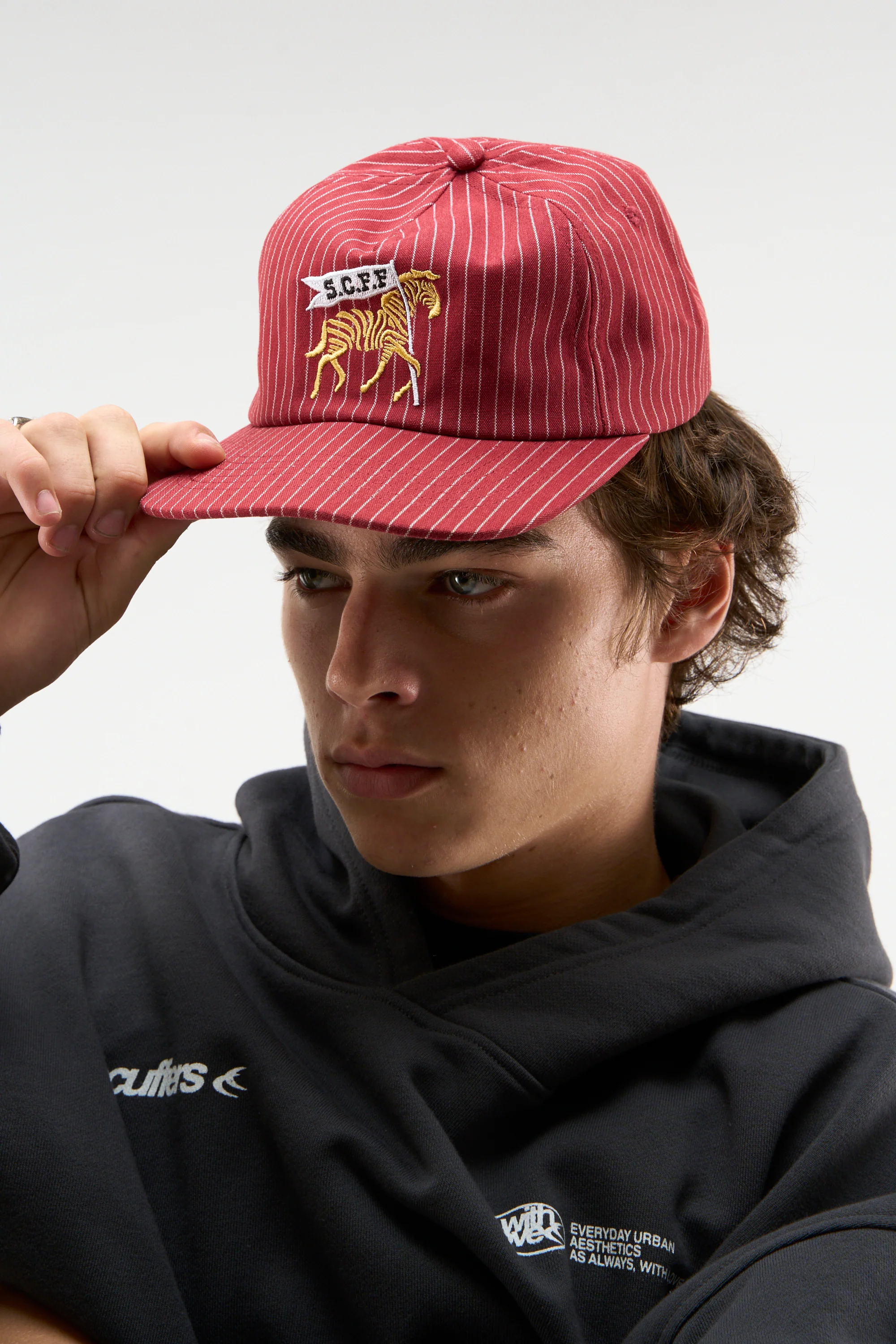 Pinstripe Burgundy Cap - Image 4